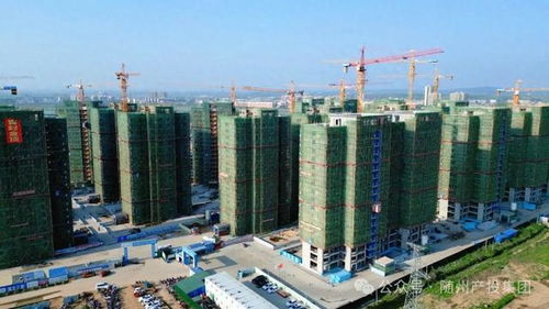 规范建设铸精品 市优荣誉显实力——随州产投集团以高标准管理打造卓越工程项目